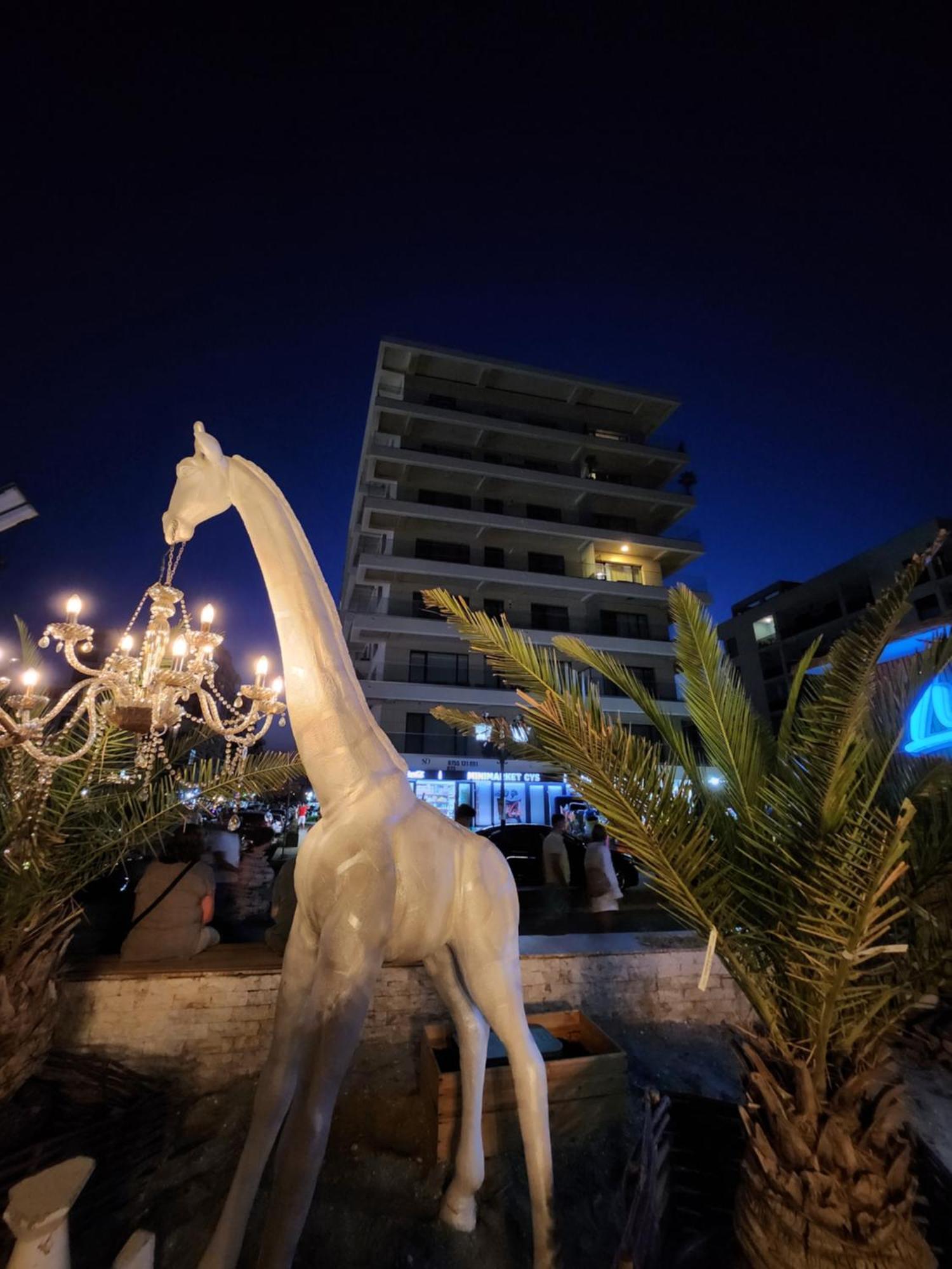 Năvodari Seaside Amalia Apartament מראה חיצוני תמונה
